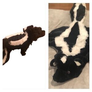 Dog skunk costume